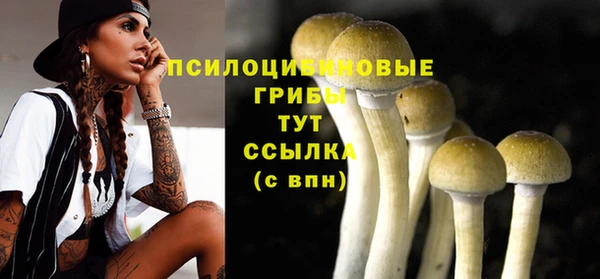 каннабис Инта