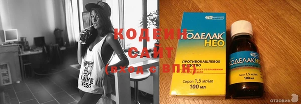 соль ск Инсар