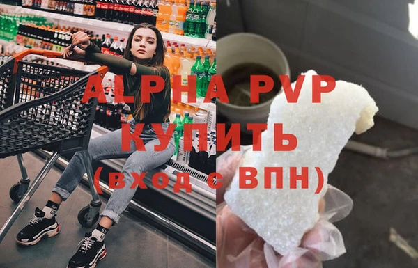 соль ск Инсар