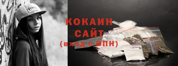соль ск Инсар