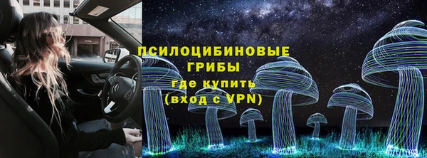 каннабис Инта