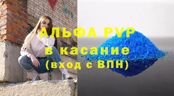 соль ск Инсар