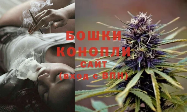 каннабис Инта