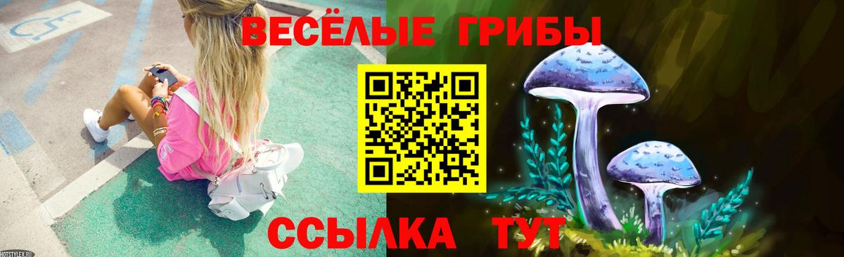 Псилоцибиновые грибы мицелий Северодвинск