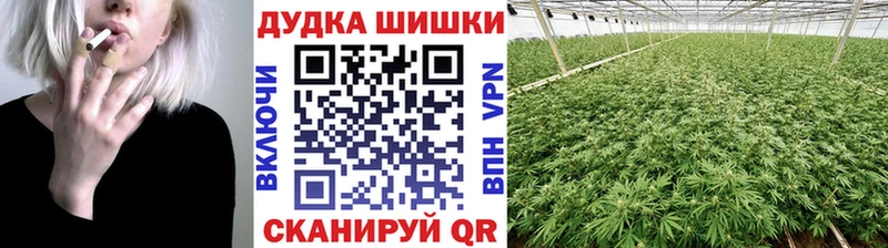 продажа наркотиков  Северодвинск  Бошки Шишки MAZAR 